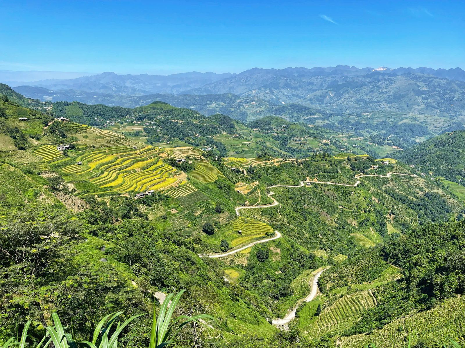 4 Days – 3 Nights Ha Giang Loop Tour