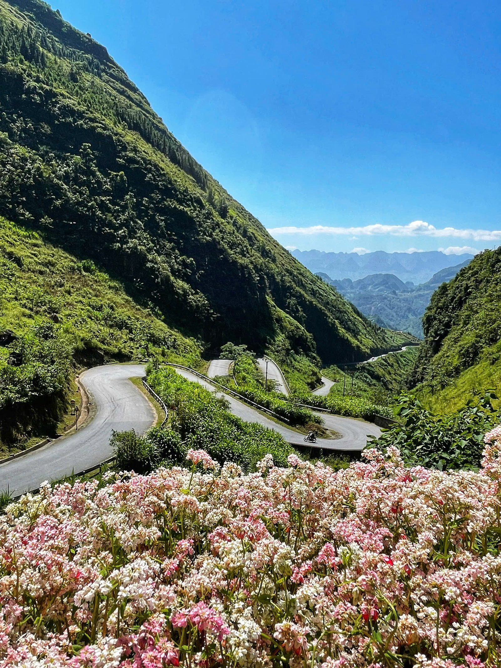 2 Days – 1 Night Ha Giang Loop Tour